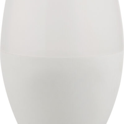 LED sijalica LED LEUCHTMITTEL KUNSTSTOFF OPAL, 1XE14 LED
