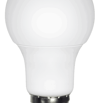 LED sijalica LED sijalica, 1xE27 LED