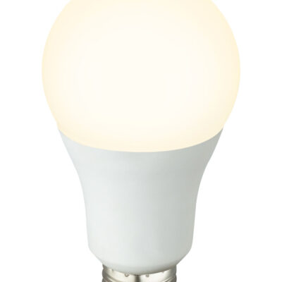 LED sijalica LED sijalica 1xE27 LED