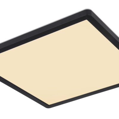 Plafonska lampa SAPANA