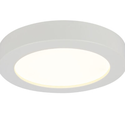 Plafonska lampa PAULA