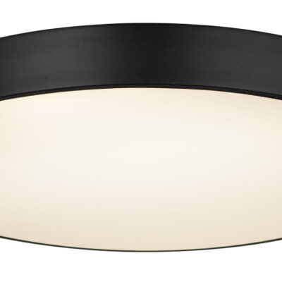 Plafonska lampa WISS