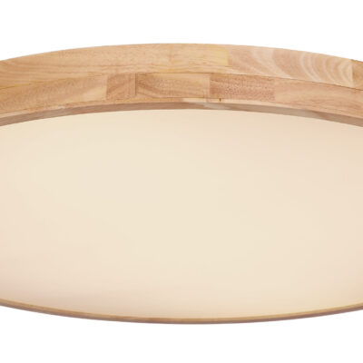 Plafonska lampa RAINER