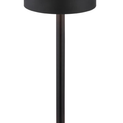 Stolna lampa DIXON