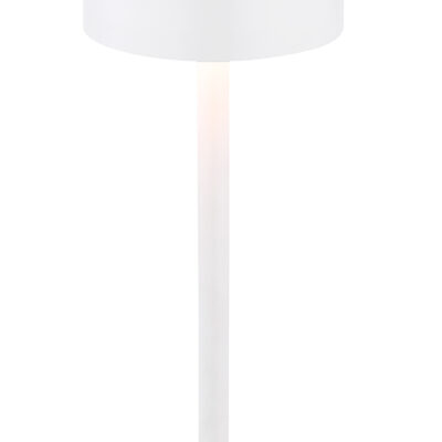 Stolna lampa DIXON