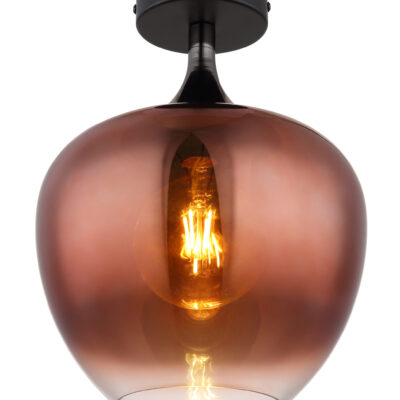 Plafonska lampa MAXY